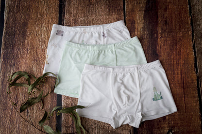 Boy Trunks (Set of Three)