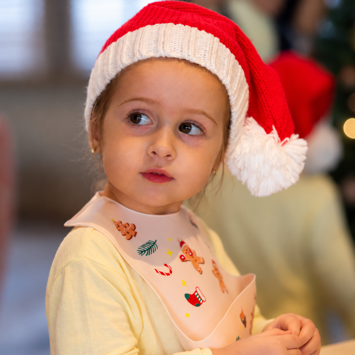 The Little Santa Hat