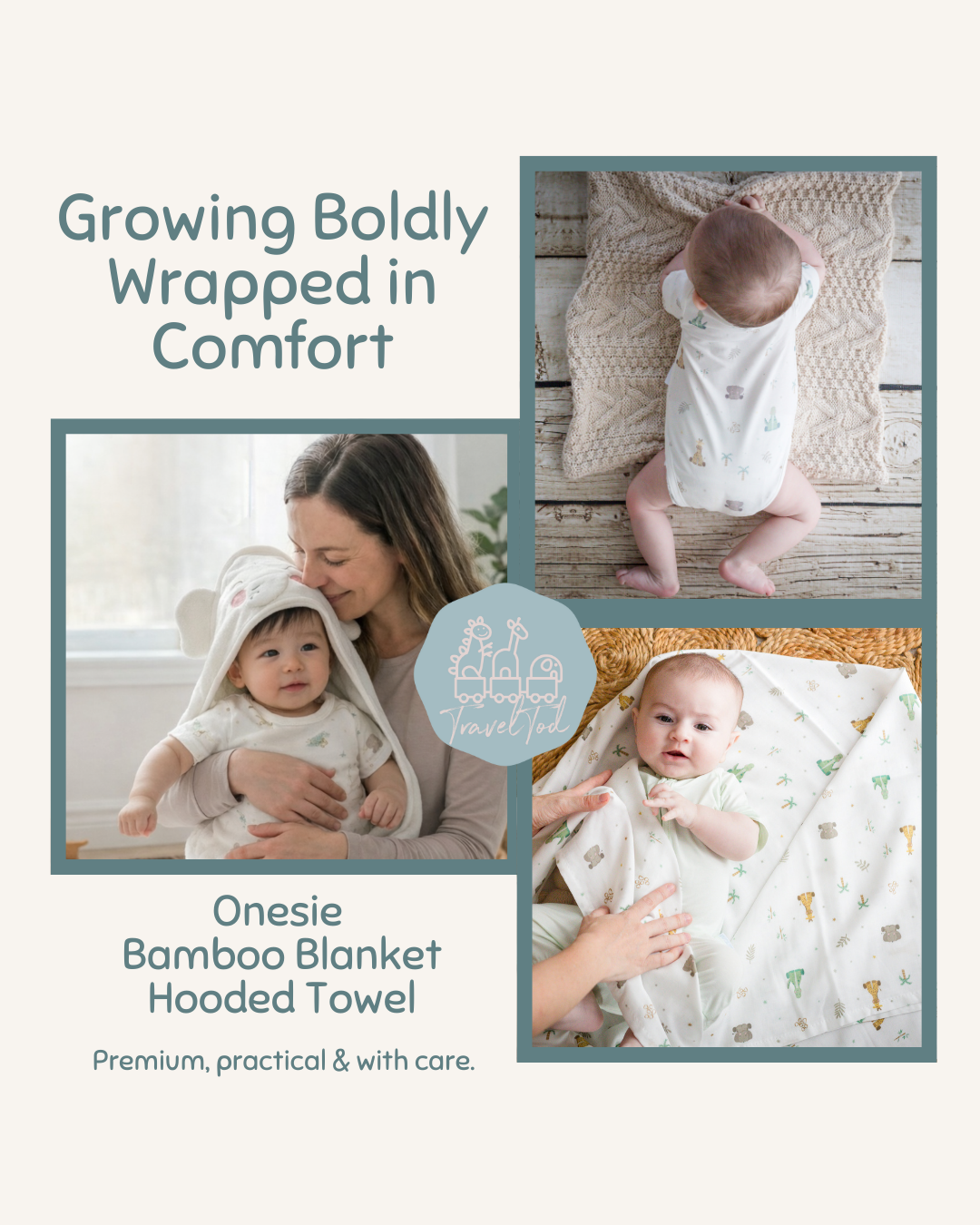 Growing Boldly, Wrapped in Comfort (NEW!)